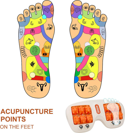 Foot Massager Roller, Plantar Fasciitis Relief Portable, Acupressure Therapy for Relieves Foot Tension, Promotes Relaxation, and Improved Circulation Cat Paw Purple