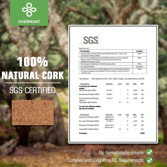 Cork Yoga Blocks 2 pack with 8ft Strap Natural Cork Bricks