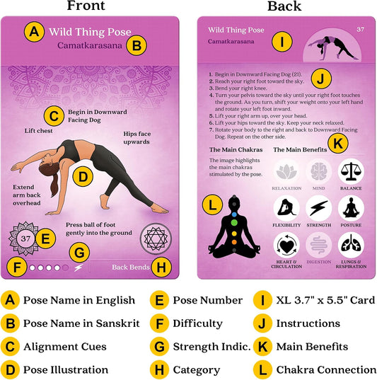 Premium Yoga Cards – Deck with Over 120 Yoga Poses – Yoga Sequencing Deck with Yoga Cues and Sanskrit Names for Beginners and Teachers – Unique Yoga Gift for Women or Any Yoga Lover