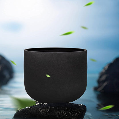 F Note Crystal Singing Bowl 10 inch Heart Chakra with Heavy Duty Carrying Case and Suede Mallet