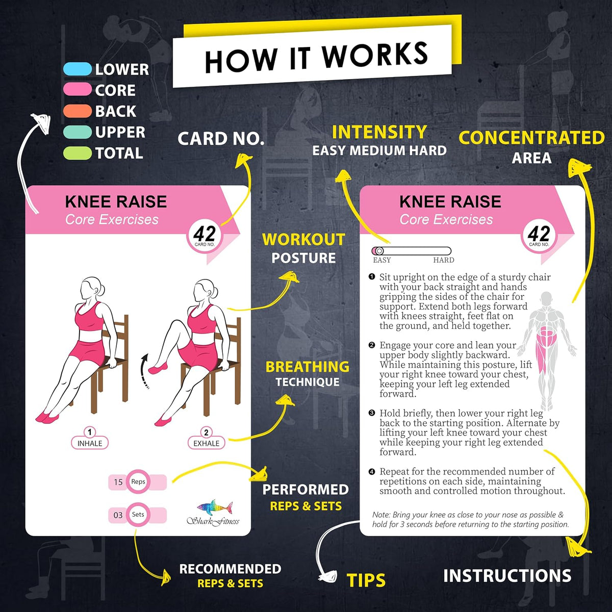 Chair Yoga Workout Cards – 58 Seated Exercise Cards for Beginners & Seniors | 28 Day Chair Workout Chart for Weight Loss, Strength, Flexibility & Balance