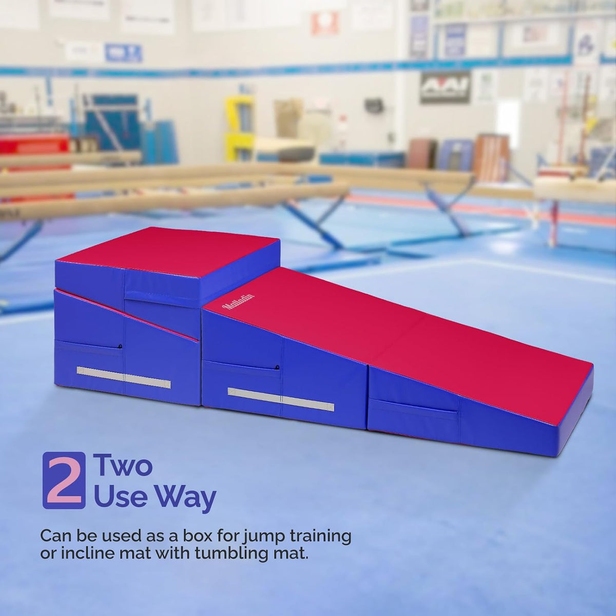 48"x24"x14" Tumbling Mat - Folding Gymnastics Cheese Wedge Mat for Kids, Girls Home Training