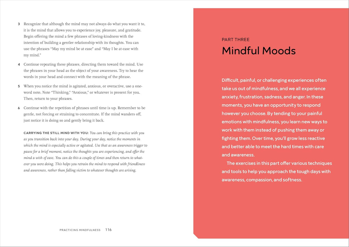 Practicing Mindfulness: 75 Essential Meditations to Reduce Stress, Improve Mental Health, and Find Peace in the Everyday