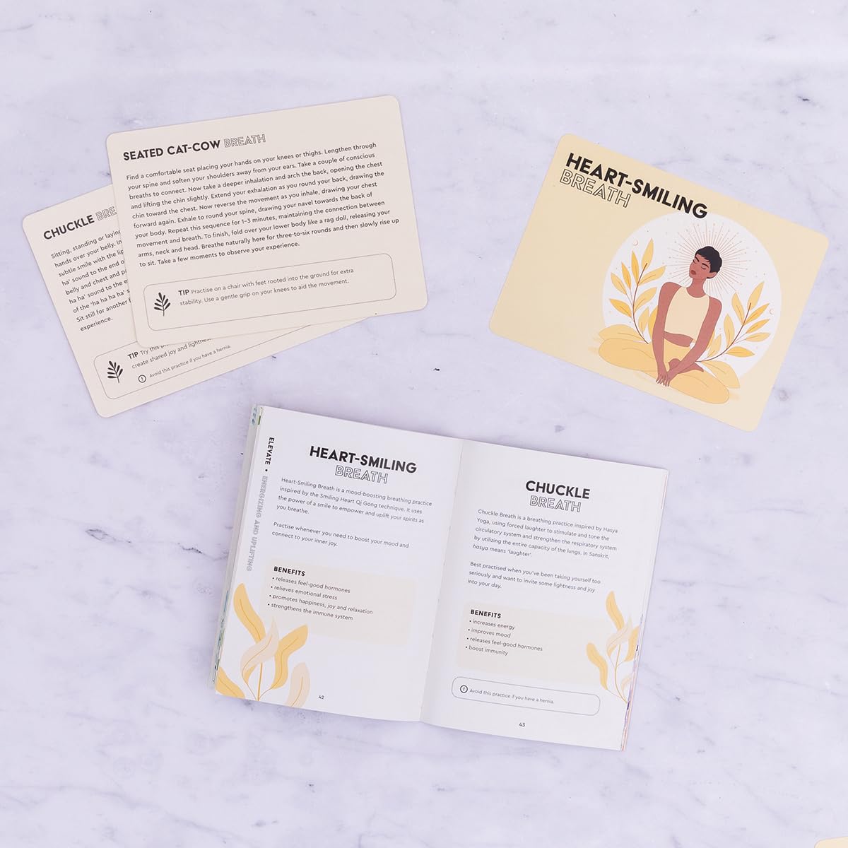 Breath Practice Cards: 50 breathwork meditations for mind, body & self (Wellness Practice Cards)