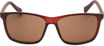 Calvin Klein mens Ck19568s Round Sunglasses