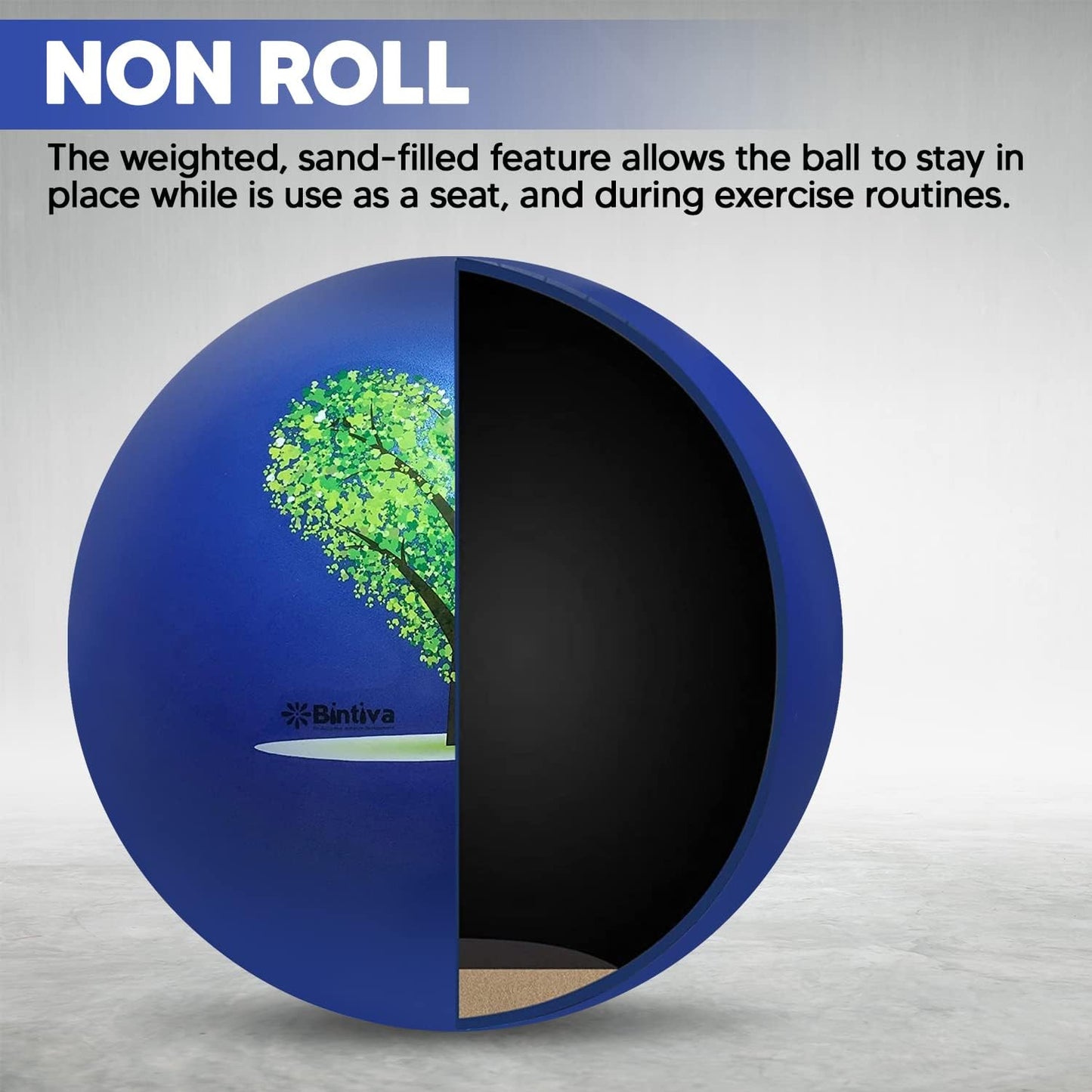 bintiva Exercise Ball