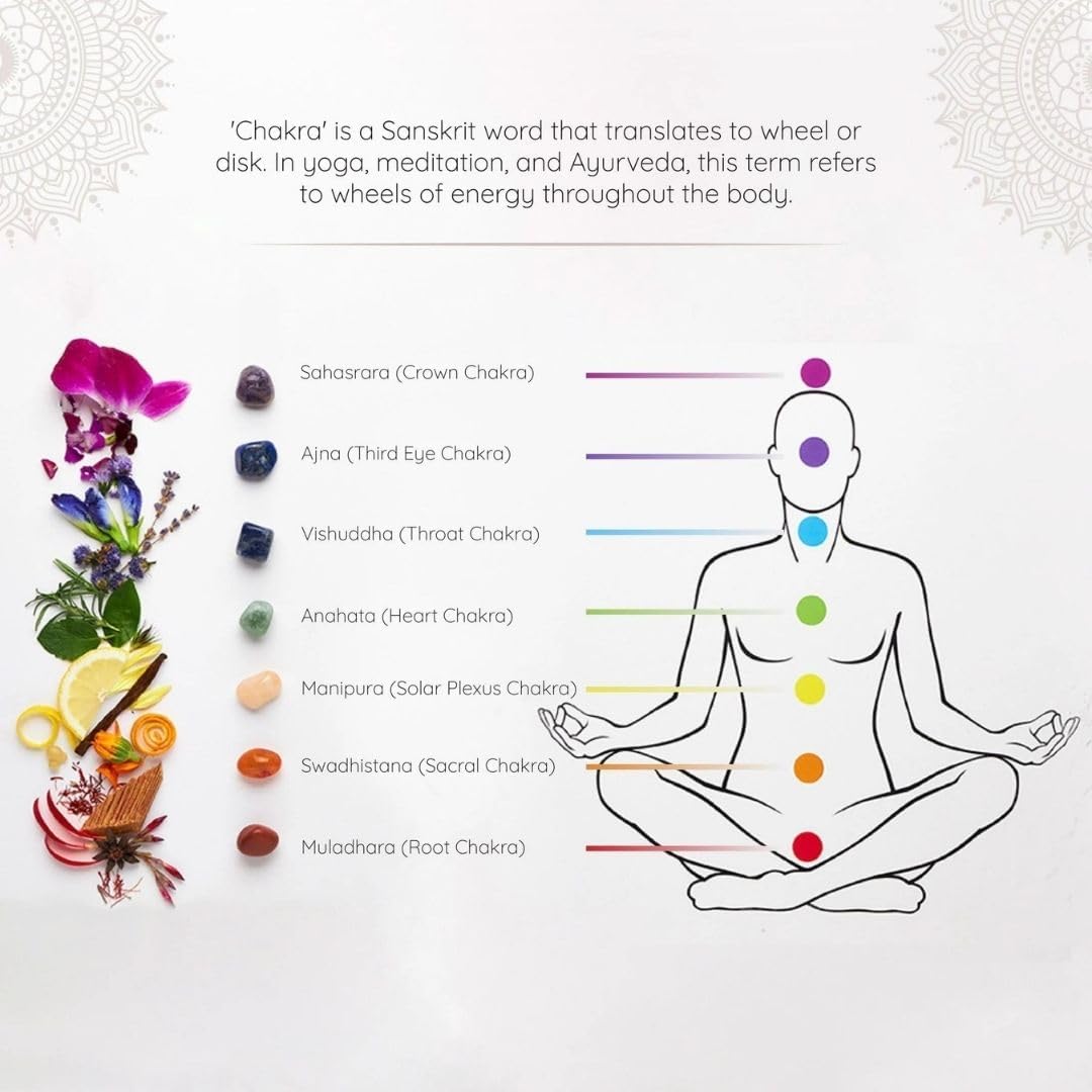 7 Chakra Incense Brick Gift Set by Aromafume | 14 Bricks & Tree of Life Exotic Burner | Smokeless Incense Set for Chakra Balance | Yoga & Meditation Gifts | Incense Kit for Plexus, Root & More