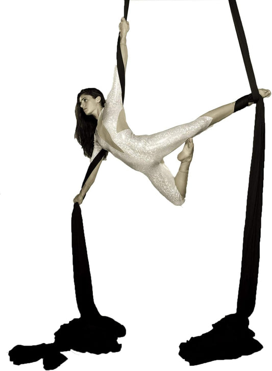 Aerial Silks 13 Yards Hardware Kit Low stretch Aerial Yoga Hammock Acrobatics - Swivel 360 Spinner Equipment Height Adjustment Strap, Portable Storage (Black)