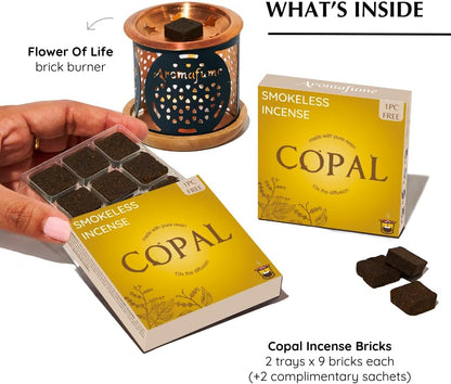 Frankincense Incense Bricks & Tree of Life Exotic Burner by Aromafume | 2 Trays x 9 Bricks | Boswellia Carterii & Boswellia Serrata Extract, Native to East Africa & India | Low-Smoke & Non-Toxic