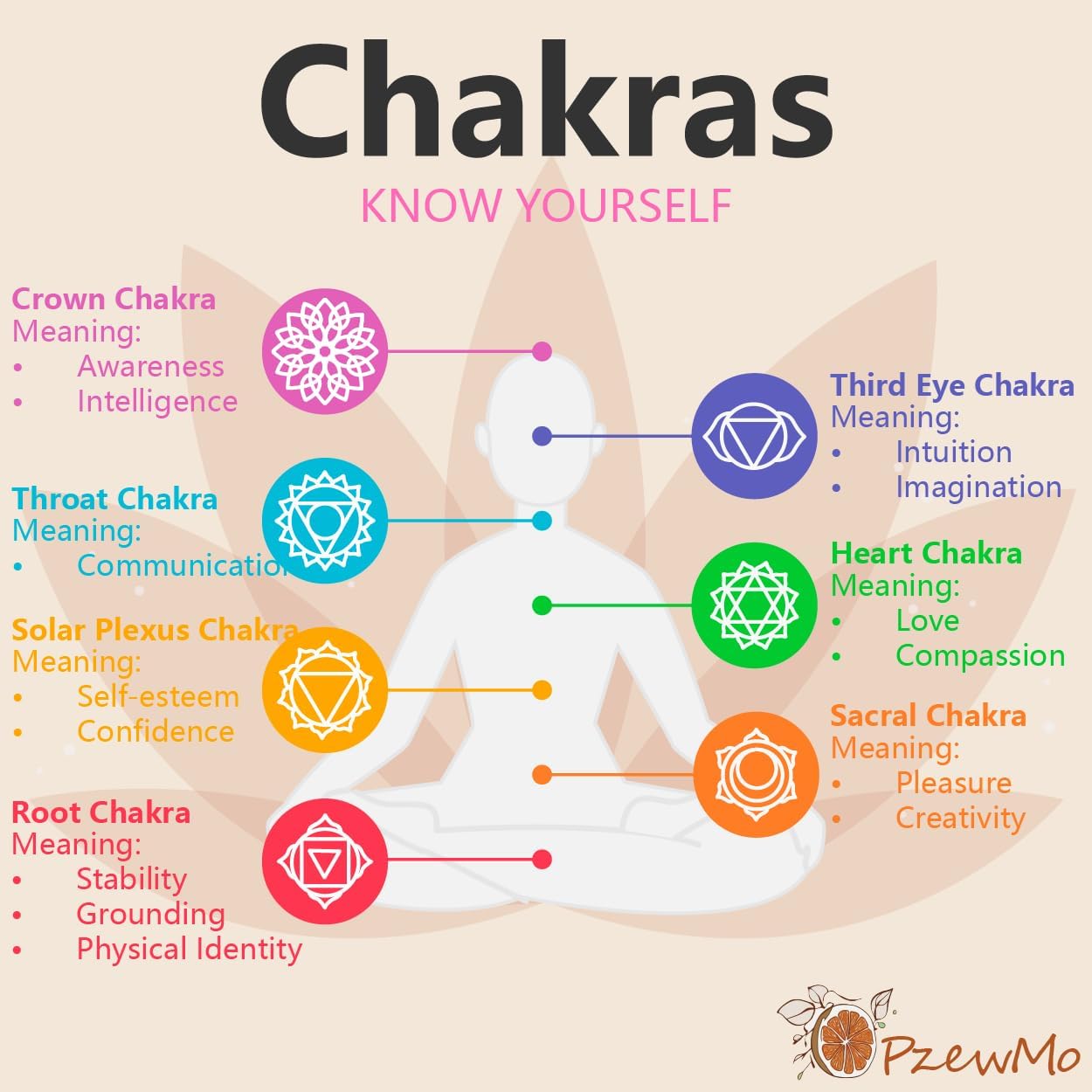 7 PCS Chakra Crystals Healing Stone Necklaces Set ，with Adjustable Rope Natural Crystal for Relaxation, Positive Energy, Yoga, Meditation Christmas Gift for Family Friends