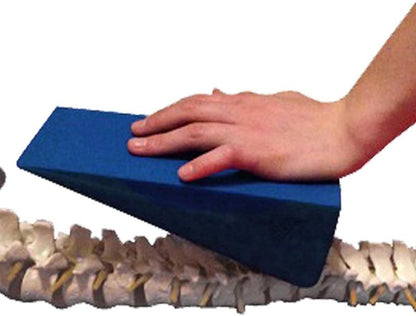 Physical Therapy Wedge Pillow Positioning Wedge for Back Hip Knee Body Relaxation & Muscle Spinal Discomfort Comfort Firm Support Wedge PT Tools (red)