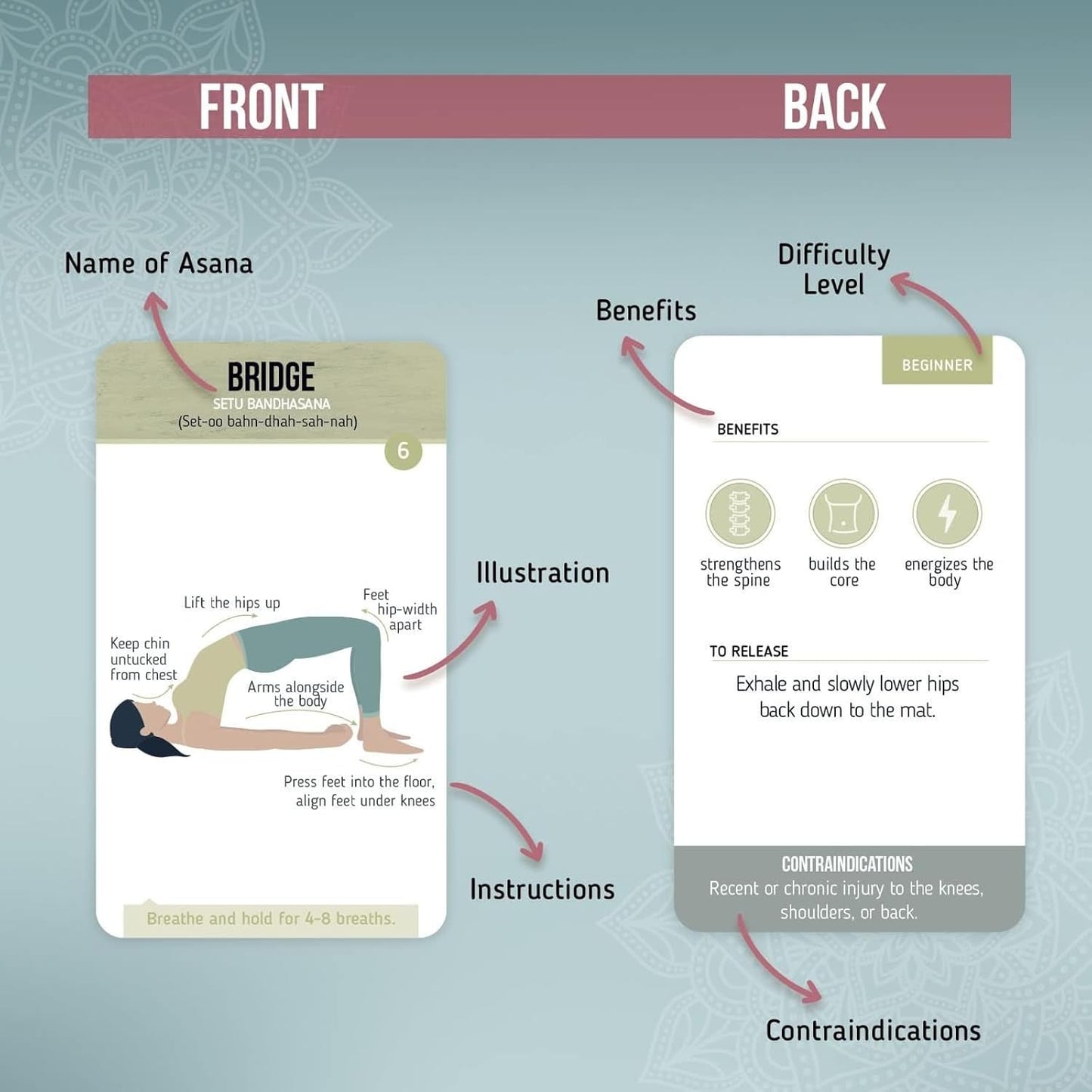 merka Yoga Cards Flashcard Deck - 50 Plastic Cards, One Size - 45 Asanas & Sanskrit Names - Yoga Gifts for Women