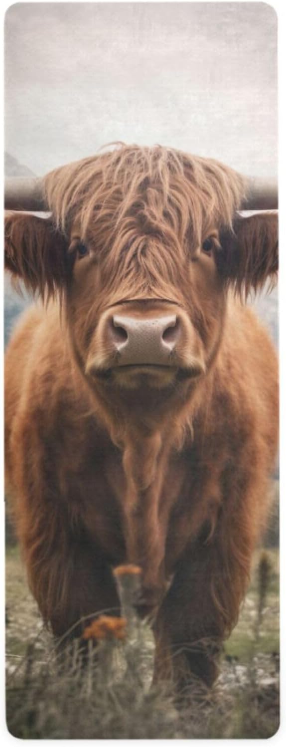 Highland Cow Yoga Mat for Women Men 71" x 26" Non Slip Exercise & Fitness Mat 1mm Thick Workout Mat for Yoga, Pilates, Come with Storage Bag