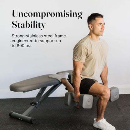 WeGym Fitness Bench, Adjustable, Collapsible, Comfortable, and Luxurious Home Gym Bench for Strength Training