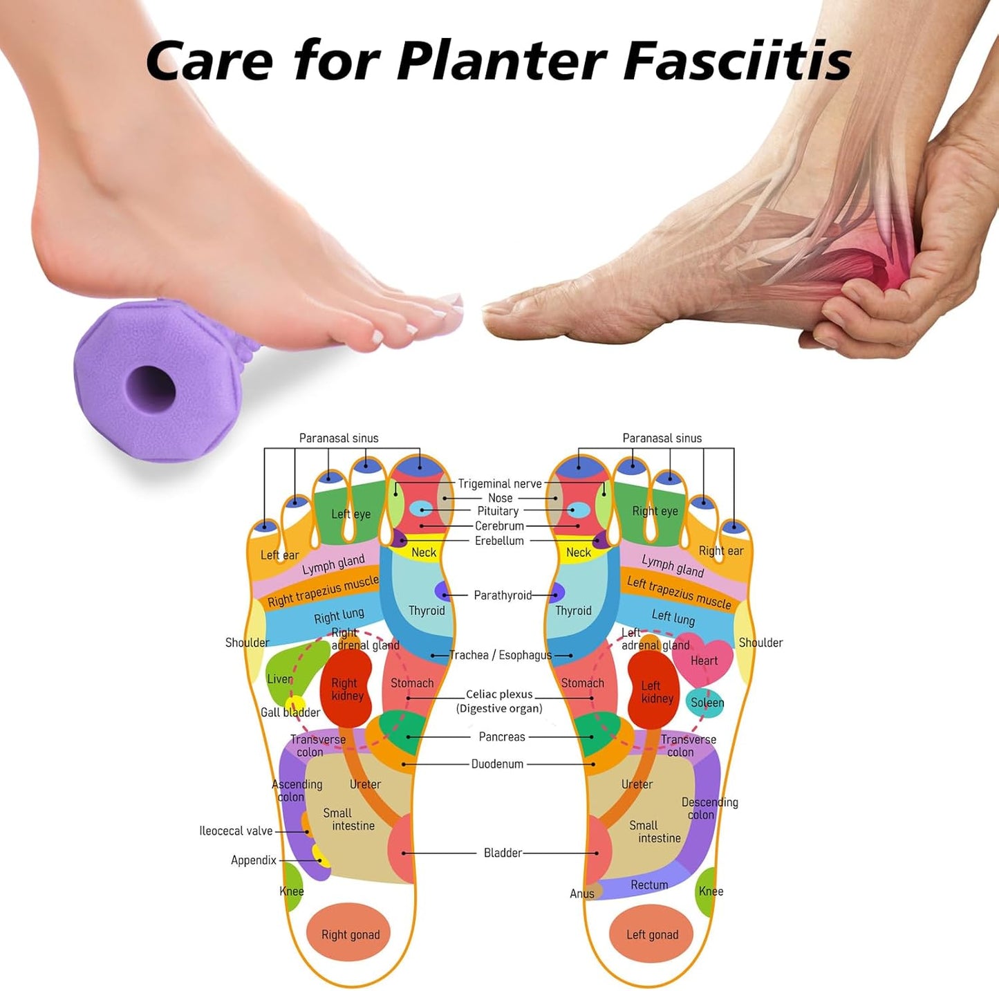 Foot Roller,Plantar Fasciitis Relief,Foot Massager Roller for Arch and Heel Pain Relief,Care for Plantar Fasciitis,Deep Tissue Muscle Massage,Portable Reflexology Tool