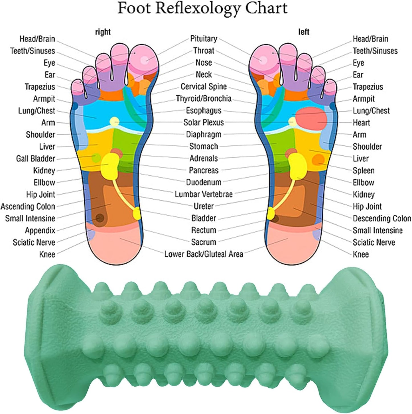 Foot Massage Ball Myofascial Release, Pain Relieve from Plantar Fasciitis, Massage Tool for Tight Muscles and Sore Feet, Restore Foot Massage Roller