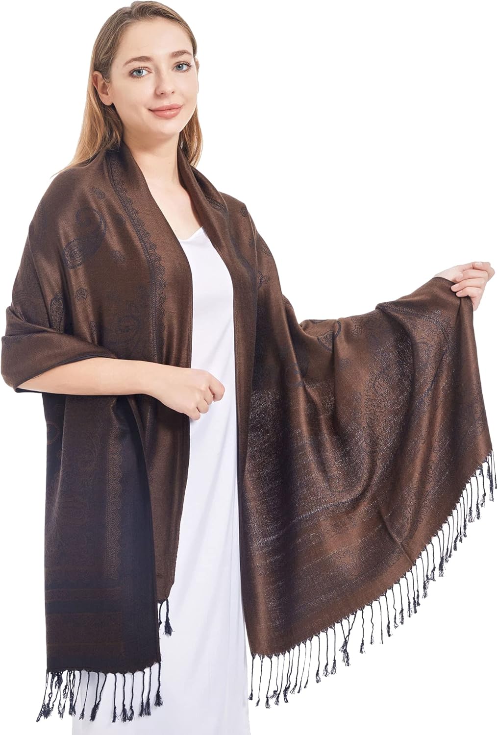 Ciormis Two Tone Silky Paisley Pashmina Shawl Scarf,Soft Women's Rave Jacquard Pashminas Wrap Scarves