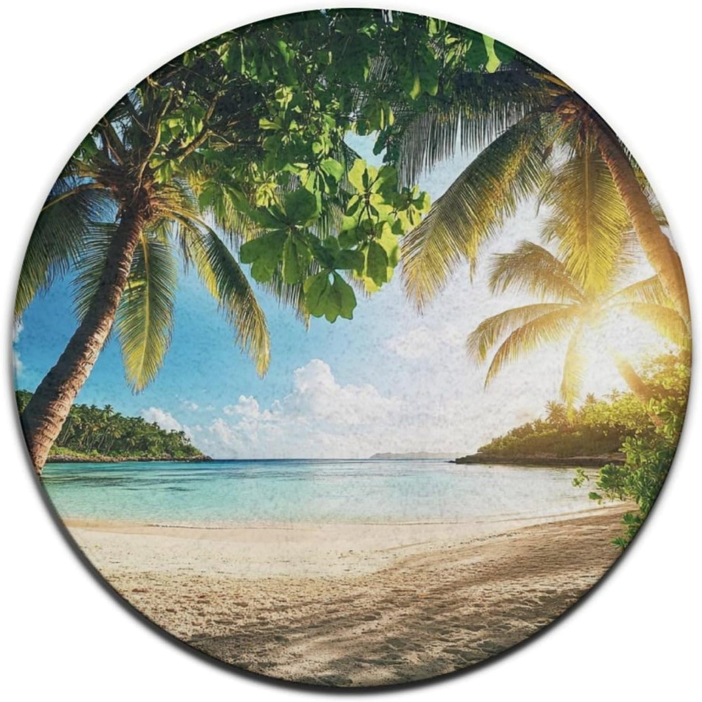 Room Sofa Yoga Soft Round Carpet, Home Decor Non Slip Kitchen Office Circle Rug, Machine Washable Modern Round Area Rug Beach Turtles, 60inch