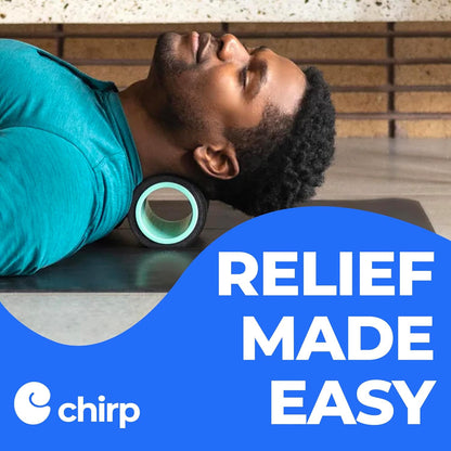 Chirp Wheel Foam Roller – Targeted Back & Neck Relief, Lumbar Spine Stretcher, Spinal Decompression Back Stretcher, Massage Roller with Density Foam for Physical Therapy, Supports 500lbs, 4-Pack Black