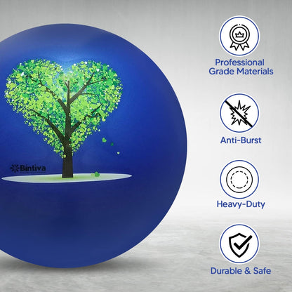 bintiva Exercise Ball