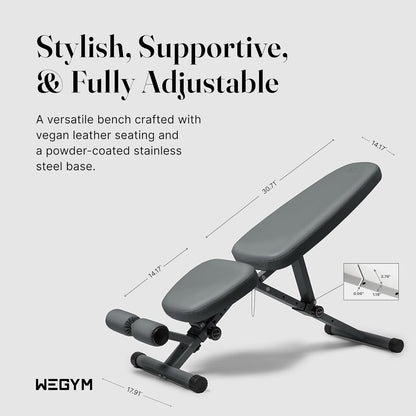 WeGym Fitness Bench, Adjustable, Collapsible, Comfortable, and Luxurious Home Gym Bench for Strength Training