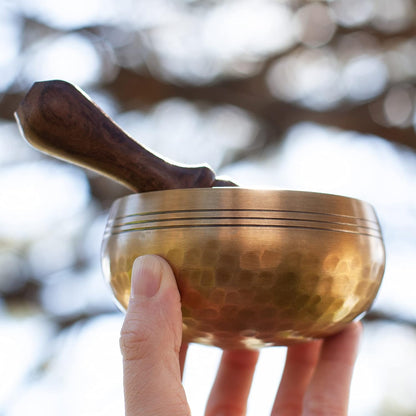 Tibetan Singing Bowl Set - Easy To Play for Beginners - Authentic Handcrafted Mindfulness Meditation Holistic Sound 7 Chakra Healing Gift by Himalayan Bazaar (5")