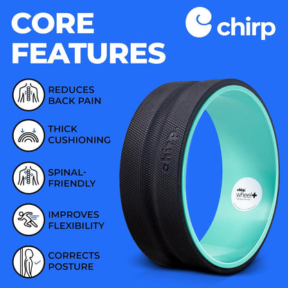 Chirp Wheel Foam Roller – Targeted Back & Neck Relief, Lumbar Spine Stretcher, Spinal Decompression Back Stretcher, Massage Roller with Density Foam for Physical Therapy, Supports 500lbs, 4-Pack Black