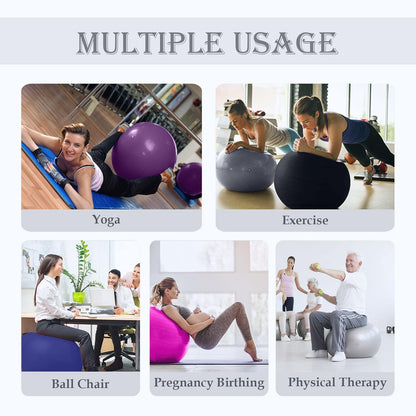 PL-0003 Soft Exercise Ball, Anti-Burst Yoga Ball Chair Supports 2200lbs PL-0003