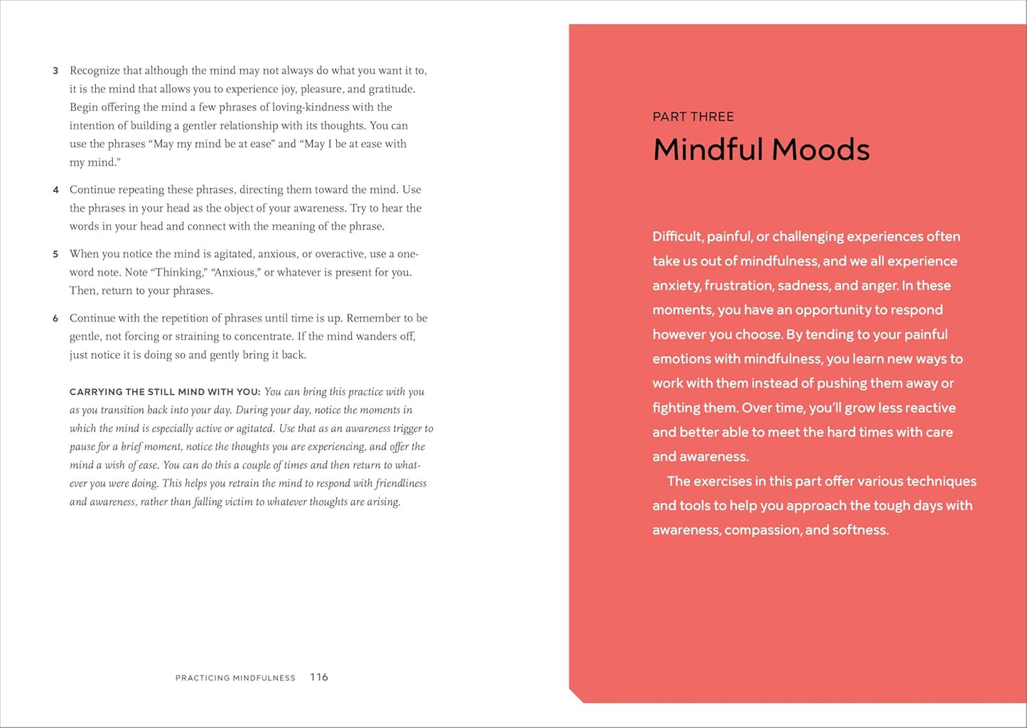 Practicing Mindfulness: 75 Essential Meditations to Reduce Stress, Improve Mental Health, and Find Peace in the Everyday