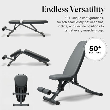 WeGym Fitness Bench, Adjustable, Collapsible, Comfortable, and Luxurious Home Gym Bench for Strength Training