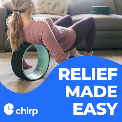 Chirp Wheel Foam Roller – Targeted Back & Neck Relief, Lumbar Spine Stretcher, Spinal Decompression Back Stretcher, Massage Roller with Density Foam for Physical Therapy, Supports 500lbs, 4-Pack Black