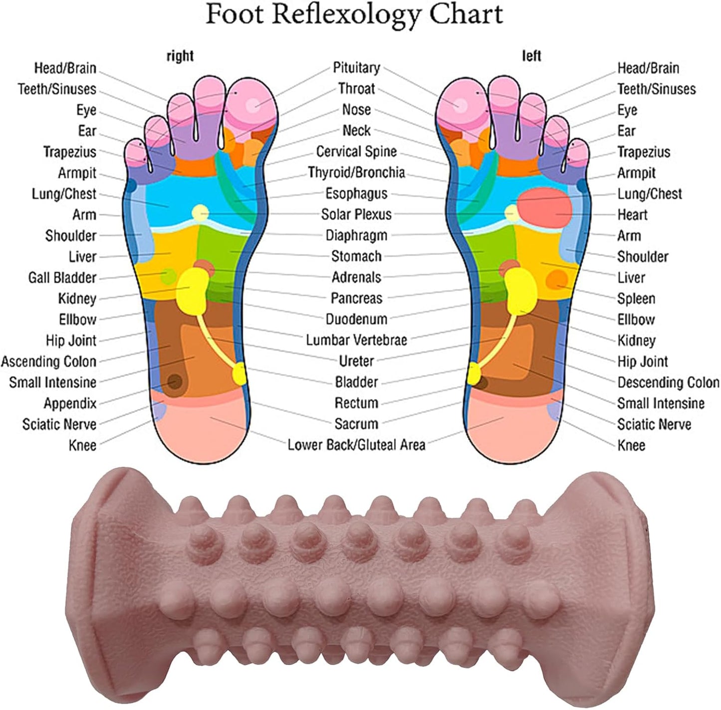 Foot Massage Ball Myofascial Release, Pain Relieve from Plantar Fasciitis, Massage Tool for Tight Muscles and Sore Feet, Restore Foot Massage Roller