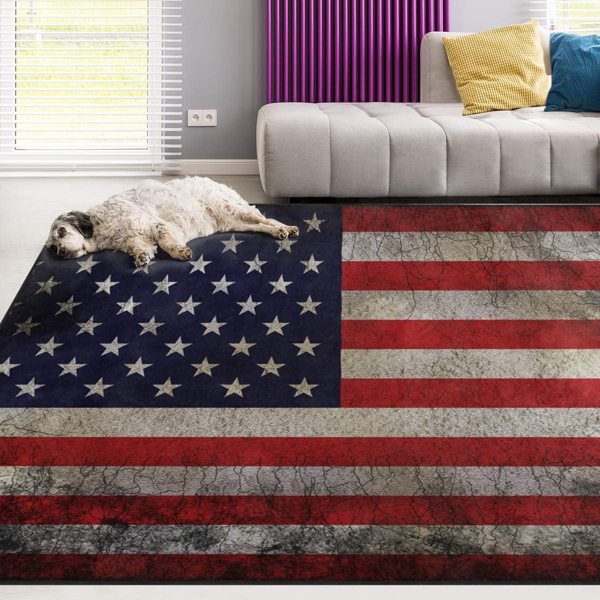 Sport Baseball Lace Non Slip Area Rug for Living Dinning Room Bedroom Kitchen, 5' x 7'(58 x 80 Inches), Sport Nursery Rug Floor Carpet Yoga Mat