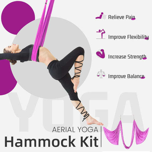 HECASA Aerial Silks Yoga Swing Set, Aerial Yoga Hammock w/Daisy Chain for Home, Inversion Exercises, Strength Training and Starter Kit