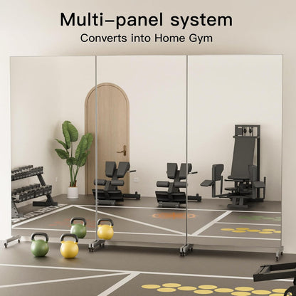 brisafe 67"x24" Ultra-Light Mobile Floor Mirror with 360° Wheels, 0.04mm Shatterproof Nano Film for Home Gym/Yoga/Dance Studio & Commercial Use | 60% Insurance Savings | Black