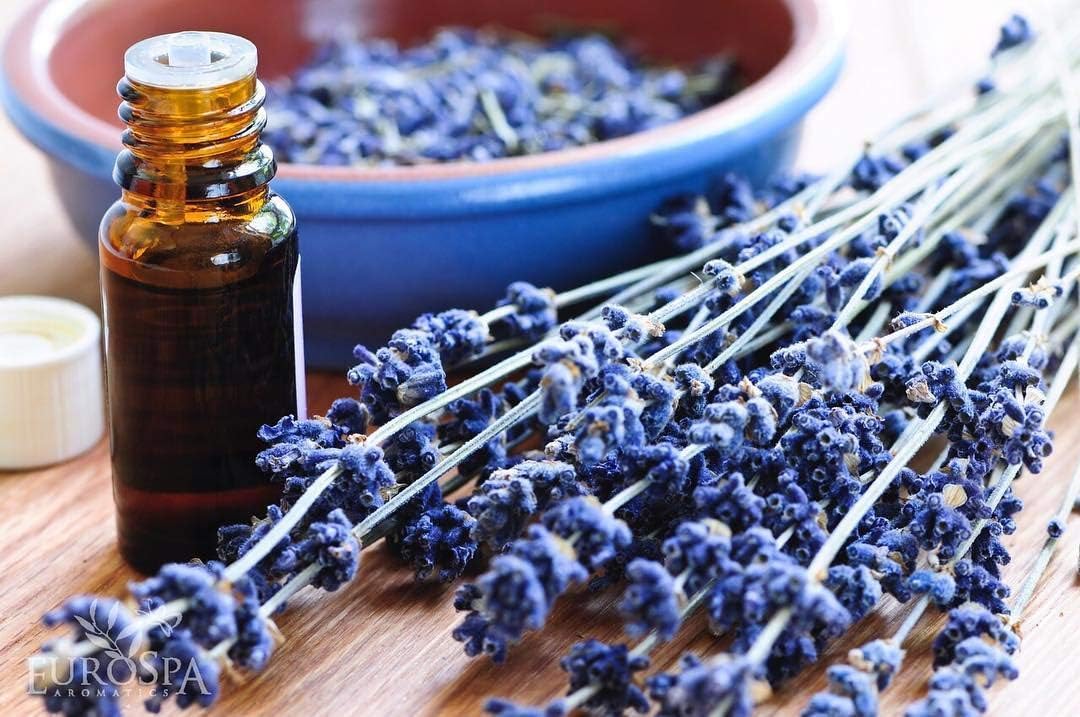 EuroSpa Aromatics Lavender Infused Pure Eucalyptus Oil Yoga Mat Cleaner & Deodorizer - Premium Aromatherapeutic & Relaxing Essential Oil Spray - 16oz, 2 Pack