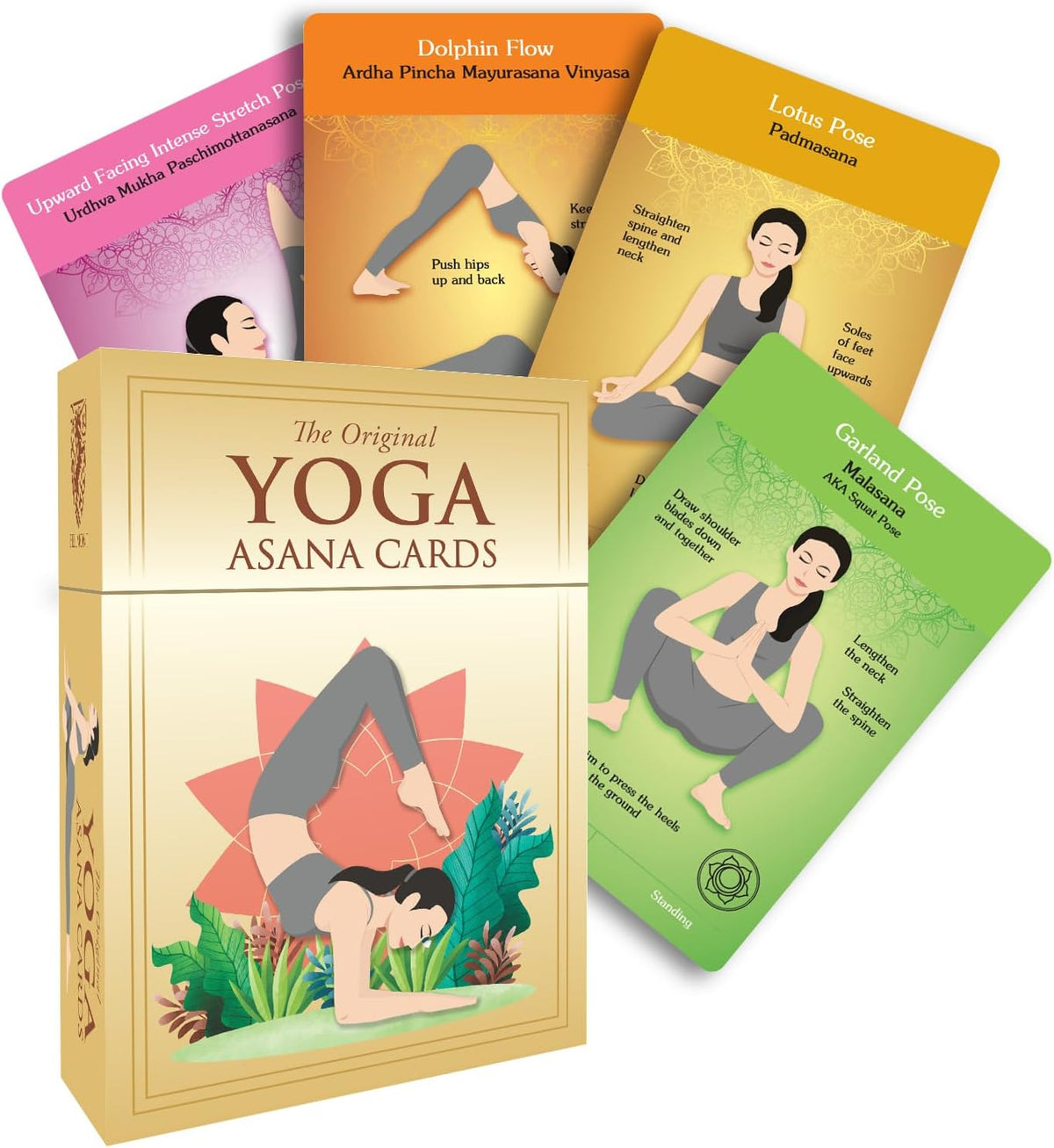 The Original Yoga Asana Cards - Workout Deck With Over 120 Poses - Sequencing Deck With Cues and Sanskrit Names for Beginners and Teachers - Unique Gift for Women or Any Yoga Lover