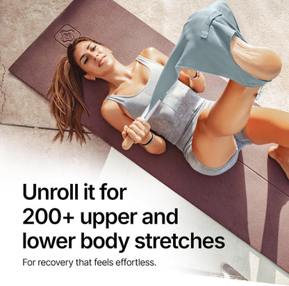 CastleFlexx Mobility and Full Body Strengthening Device