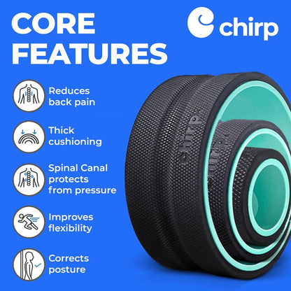 Chirp Wheel Foam Roller – Targeted Back & Neck Relief, Lumbar Spine Stretcher, Spinal Decompression Back Stretcher, Massage Roller with Density Foam for Physical Therapy, Supports 500lbs, 4-Pack Black
