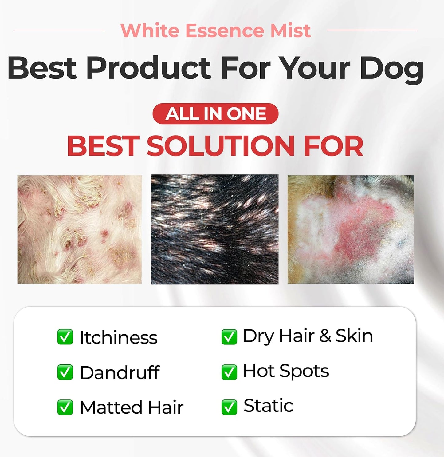 JAYU PET Magic Brushing Spray - Fur Detangler & Dematting Solution, Hypoallergenic Deodorizer, Conditioner & Itch Relief, Shining & Grooming Spray for Dogs (5.8fl oz, 170ml)
