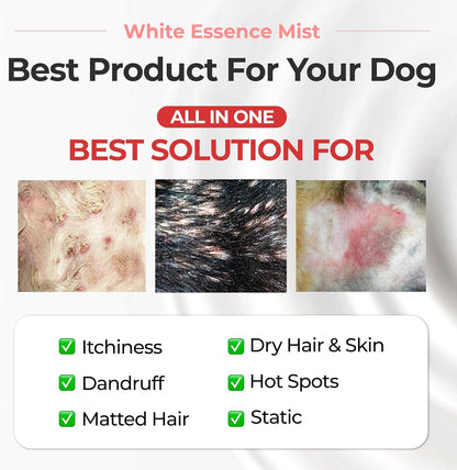 JAYU PET Magic Brushing Spray - Fur Detangler & Dematting Solution, Hypoallergenic Deodorizer, Conditioner & Itch Relief, Shining & Grooming Spray for Dogs (5.8fl oz, 170ml)