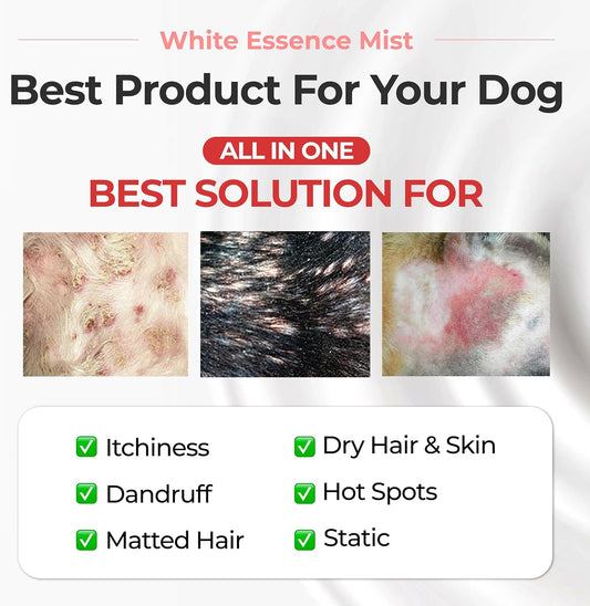JAYU PET Magic Brushing Spray - Fur Detangler & Dematting Solution, Hypoallergenic Deodorizer, Conditioner & Itch Relief, Shining & Grooming Spray for Dogs (5.8fl oz, 170ml)