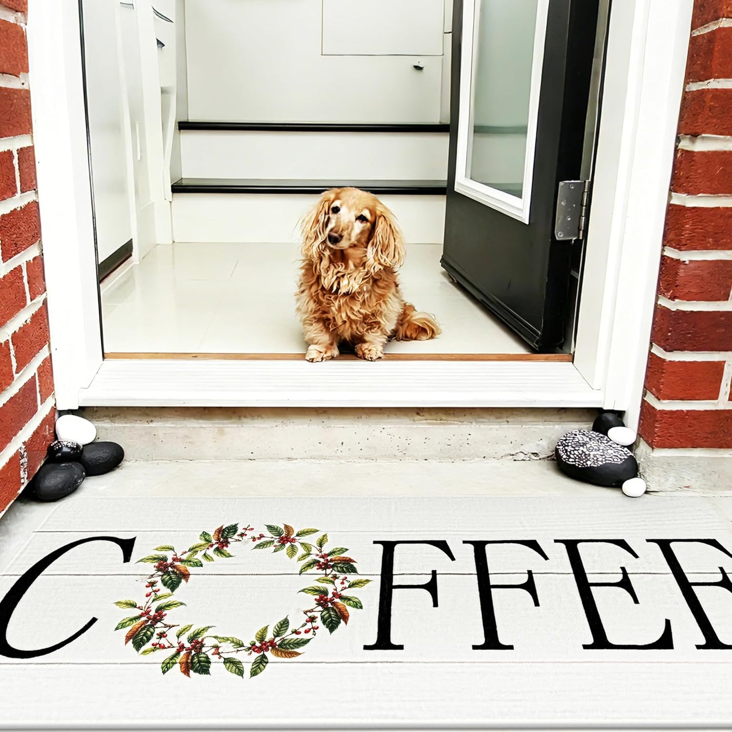 Coffee Kitchen Rug, 20"x47" Soft Velvet Kitchen Runner, Laundry Room Rugs Thickened TPR Bottom Floor Mat, Friendly for Kids & Pets, Multi-Use for Yoga Office, Coffee Station Rug Decor
