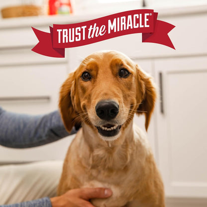 Nature’s Miracle Advanced Stain and Odor Eliminator Dog Spray, Fresh Scent, Severe Mess Enzymatic Formula For Tough Pet Messes, 32 oz