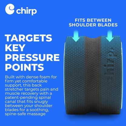 Chirp Wheel Foam Roller – Targeted Back & Neck Relief, Lumbar Spine Stretcher, Spinal Decompression Back Stretcher, Massage Roller with Density Foam for Physical Therapy, Supports 500lbs, 4-Pack Black