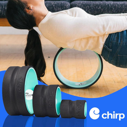 Chirp Wheel Foam Roller – Targeted Back & Neck Relief, Lumbar Spine Stretcher, Spinal Decompression Back Stretcher, Massage Roller with Density Foam for Physical Therapy, Supports 500lbs, 4-Pack Black