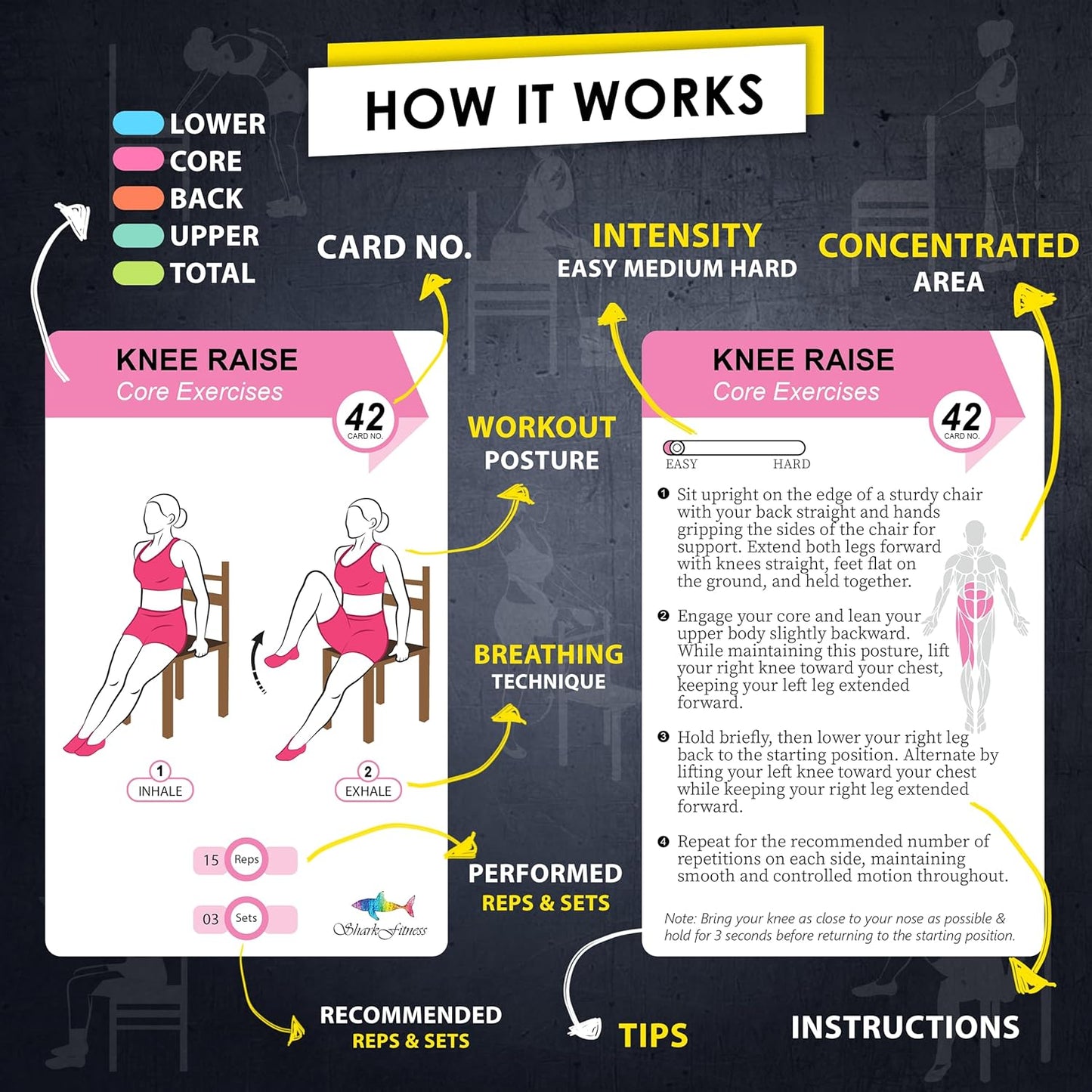 Flexies Chair Yoga Workout Cards – 58 Seated Exercise Cards for Beginners & Seniors | 28 Day Chair Workout Chart for Weight Loss, Strength, Flexibility & Balance