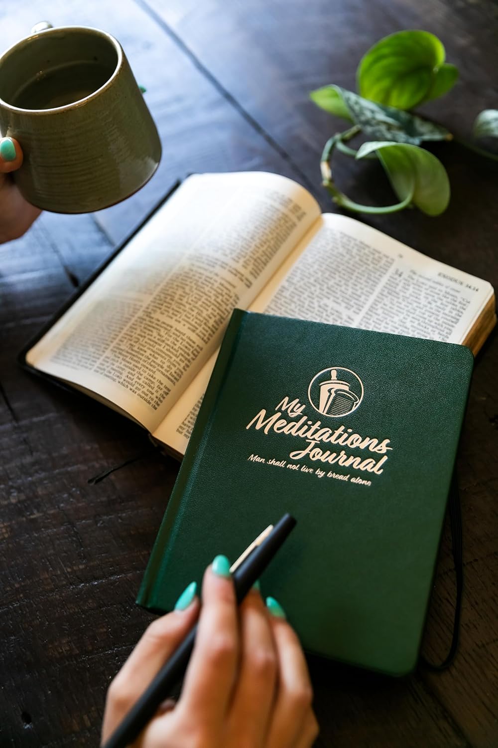 My Meditations Journal (Olive Tree [Green])