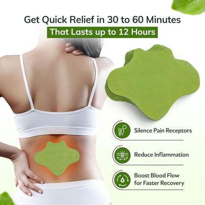 FLexiknee Warming Herbal Pain Patches for Knees w/ 12-Hour Extra Strength & Adhesion - Bone-on-Bone, Joint Ache, Muscle Soreness Support - 12 Heat Patches for Pain Relief for Knees, Back & Neck