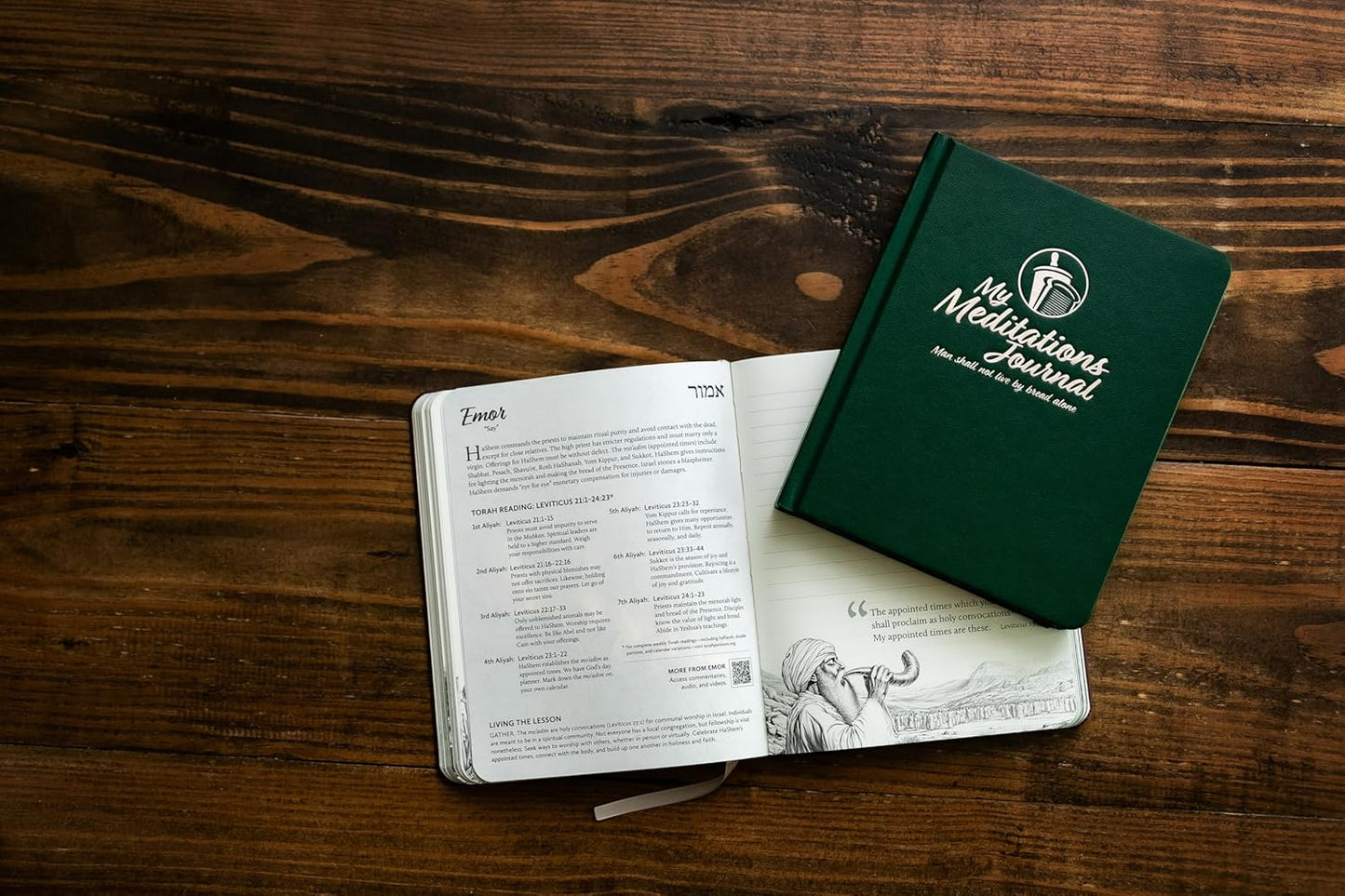 My Meditations Journal (Olive Tree [Green])